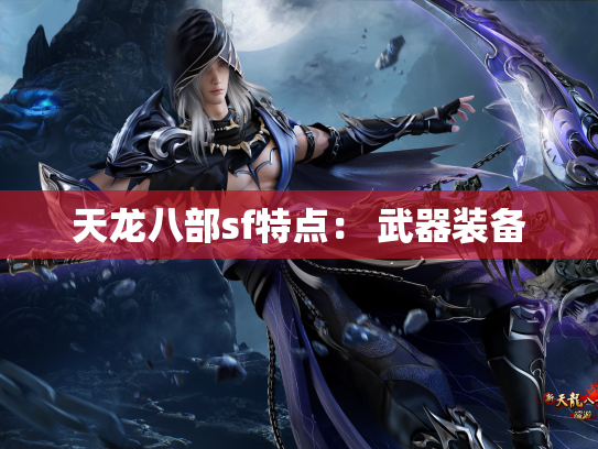 天龙八部sf特点： 武器装备